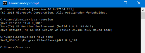 kommandoprompt-tjek-java